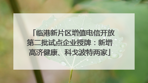 临港新片区增值电信开放第二批试点企业授牌：新增高济健康、科戈波特两家