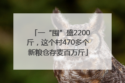 一“囤”盛2200斤，这个村470多个新粮仓存麦百万斤