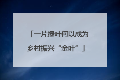 一片绿叶何以成为乡村振兴“金叶”
