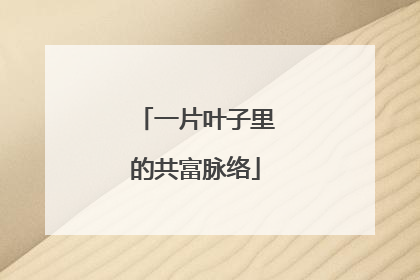 一片叶子里的共富脉络