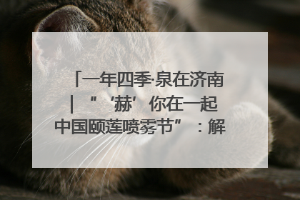 一年四季·泉在济南｜“‘赫’你在一起 中国颐莲喷雾节”：解锁济南夏日消费热潮中的国货新势力
