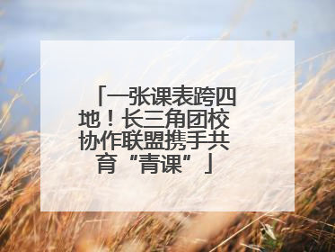 一张课表跨四地！长三角团校协作联盟携手共育“青课”