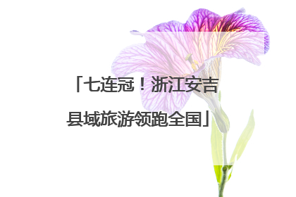 七连冠！浙江安吉县域旅游领跑全国