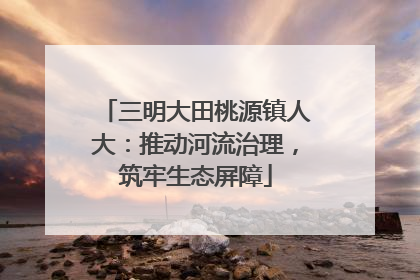 三明大田桃源镇人大：推动河流治理，筑牢生态屏障