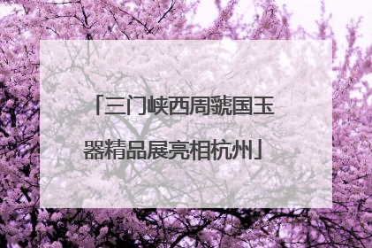 三门峡西周虢国玉器精品展亮相杭州