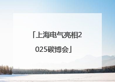 上海电气亮相2025碳博会