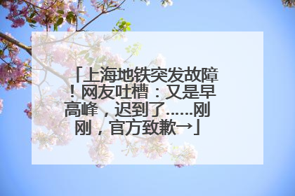 上海地铁突发故障！网友吐槽：又是早高峰，迟到了……刚刚，官方致歉→
