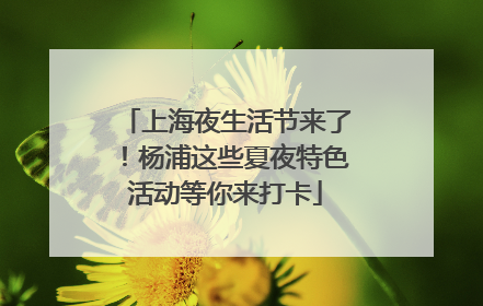上海夜生活节来了！杨浦这些夏夜特色活动等你来打卡
