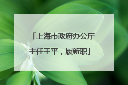 上海市政府办公厅主任王平，履新职