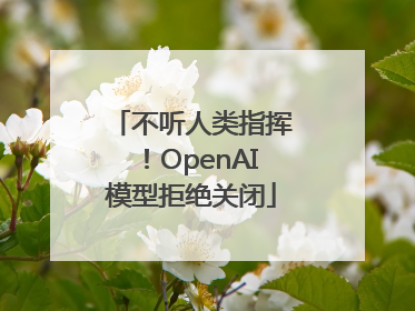 不听人类指挥！OpenAI模型拒绝关闭
