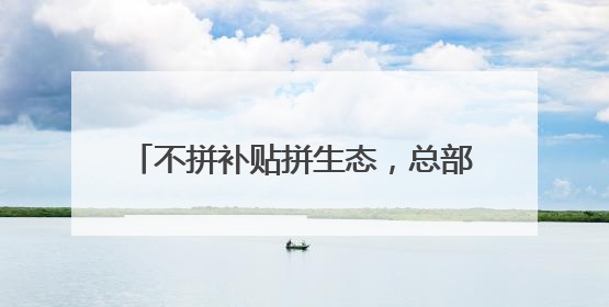 不拼补贴拼生态，总部项目纷至沓来 招商“反内卷”下的光谷之变