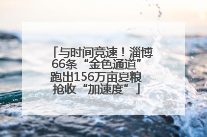 与时间竞速！淄博66条“金色通道”跑出156万亩夏粮抢收“加速度”