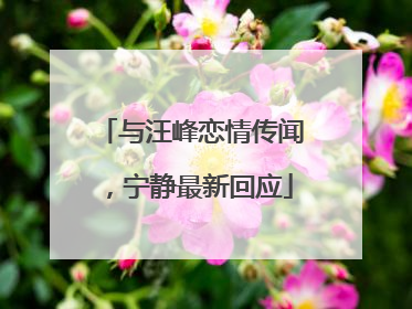 与汪峰恋情传闻，宁静最新回应