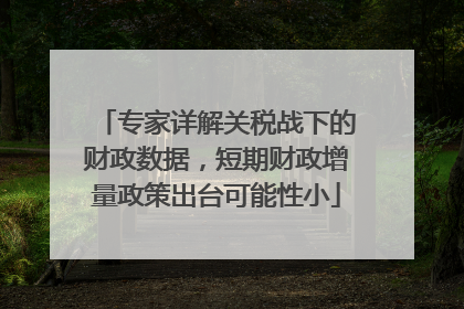 专家详解关税战下的财政数据，短期财政增量政策出台可能性小