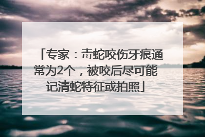 专家：毒蛇咬伤牙痕通常为2个，被咬后尽可能记清蛇特征或拍照