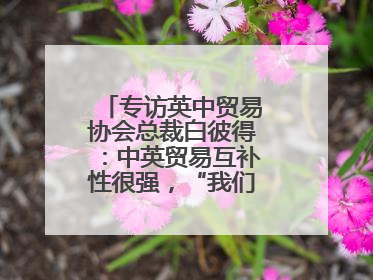 专访英中贸易协会总裁白彼得：中英贸易互补性很强，“我们没有歧视”