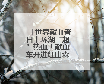 世界献血者日丨环湖“超”热血！献血车开进红山森林动物园