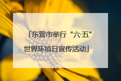 东营市举行“六·五”世界环境日宣传活动