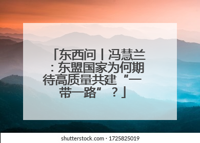 东西问丨冯慧兰：东盟国家为何期待高质量共建“一带一路”？