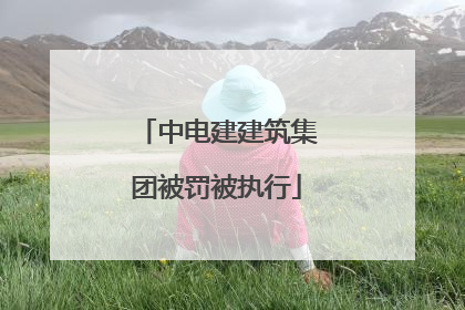 中电建建筑集团被罚被执行