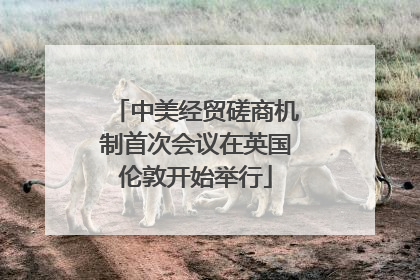 中美经贸磋商机制首次会议在英国伦敦开始举行