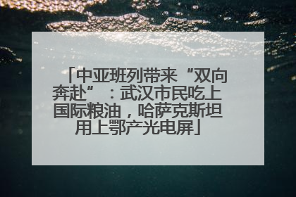 中亚班列带来“双向奔赴”：武汉市民吃上国际粮油，哈萨克斯坦用上鄂产光电屏