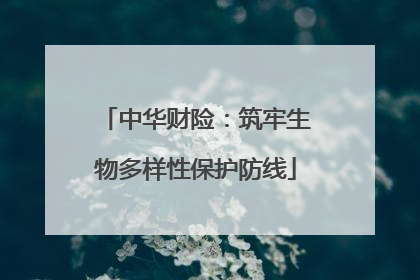 中华财险：筑牢生物多样性保护防线