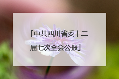 中共四川省委十二届七次全会公报