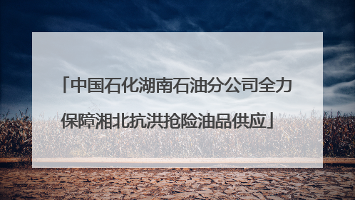 中国石化湖南石油分公司全力保障湘北抗洪抢险油品供应