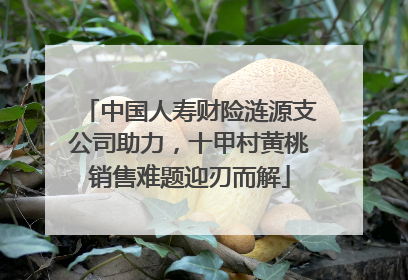 中国人寿财险涟源支公司助力，十甲村黄桃销售难题迎刃而解