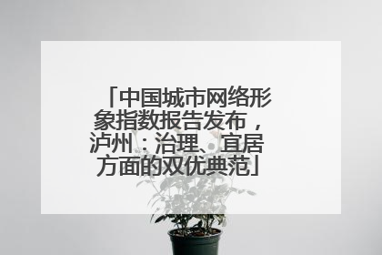 中国城市网络形象指数报告发布，泸州：治理、宜居方面的双优典范