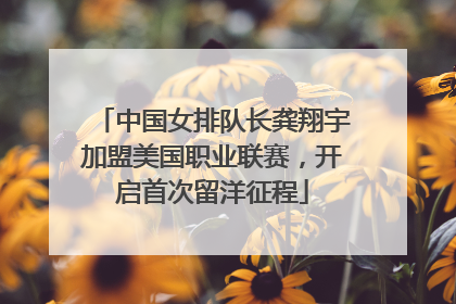中国女排队长龚翔宇加盟美国职业联赛，开启首次留洋征程