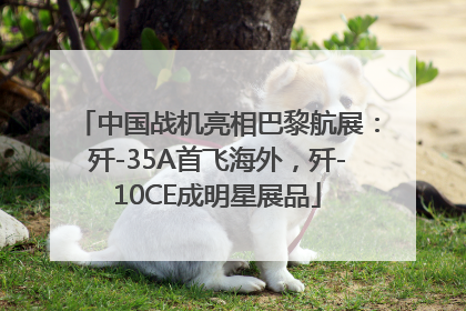 中国战机亮相巴黎航展：歼-35A首飞海外，歼-10CE成明星展品