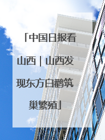 中国日报看山西｜山西发现东方白鹳筑巢繁殖