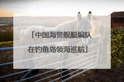 中国海警舰艇编队在钓鱼岛领海巡航