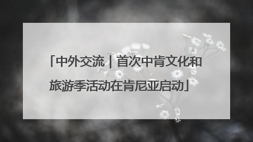 中外交流｜首次中肯文化和旅游季活动在肯尼亚启动