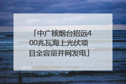 中广核烟台招远400兆瓦海上光伏项目全容量并网发电