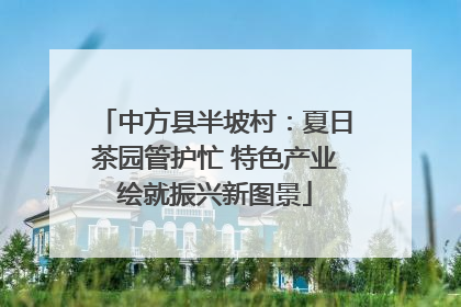 中方县半坡村：夏日茶园管护忙 特色产业绘就振兴新图景