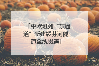 中欧班列“东通道”新建绥芬河隧道全线贯通