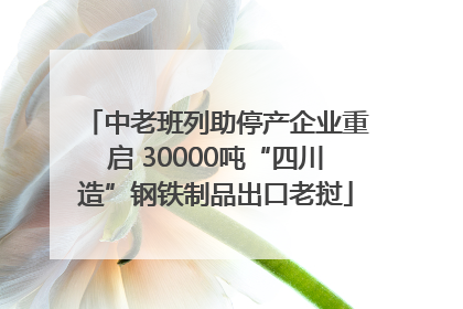 中老班列助停产企业重启 30000吨“四川造”钢铁制品出口老挝