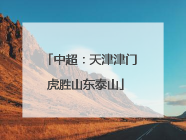 中超：天津津门虎胜山东泰山