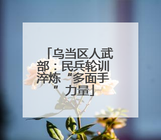乌当区人武部：民兵轮训淬炼“多面手”力量