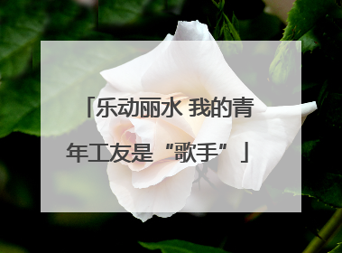 乐动丽水 我的青年工友是“歌手”