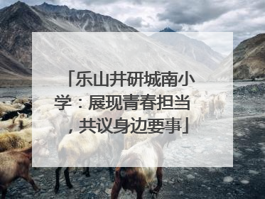 乐山井研城南小学：展现青春担当，共议身边要事