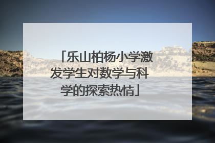 乐山柏杨小学激发学生对数学与科学的探索热情