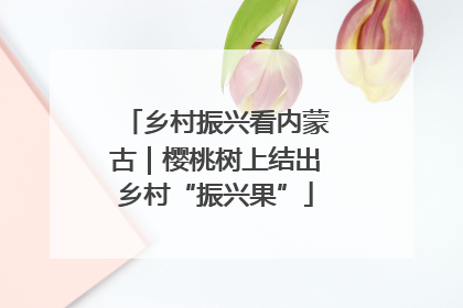 乡村振兴看内蒙古｜樱桃树上结出乡村“振兴果”