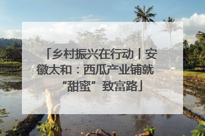 乡村振兴在行动丨安徽太和：西瓜产业铺就“甜蜜”致富路
