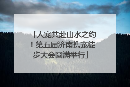 人宠共赴山水之约！第五届济南携宠徒步大会圆满举行
