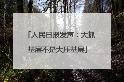 人民日报发声：大抓基层不是大压基层