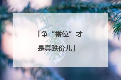 争“番位”才是真跌份儿